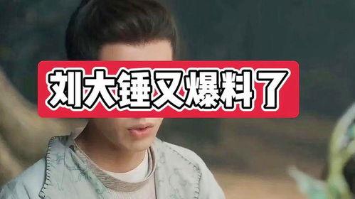 刘大锤今天爆料视频,揭秘今日热点事件内幕  第2张