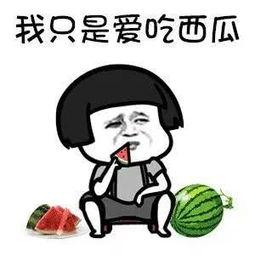 可以吃娱乐圈瓜吗,揭秘明星幕后故事  第2张